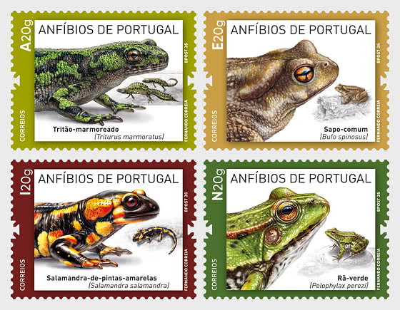 2026 Anfibios de Portugal - Dando una Cara a la Ausencia - Series
