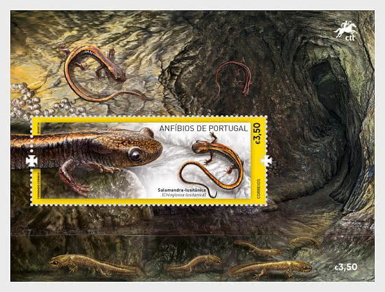 2026 Anfibios de Portugal - Dando una Cara a la Ausencia - Hojas Bloque