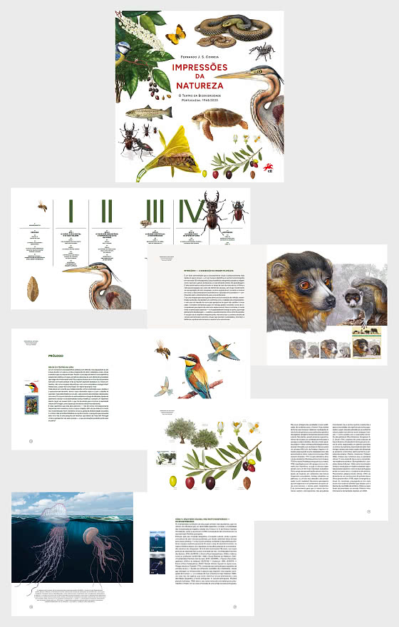 2026 Impresiones de la Naturaleza - Libros