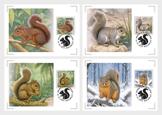 2025 PRE-ORDER Écureuils - Maxi Cards