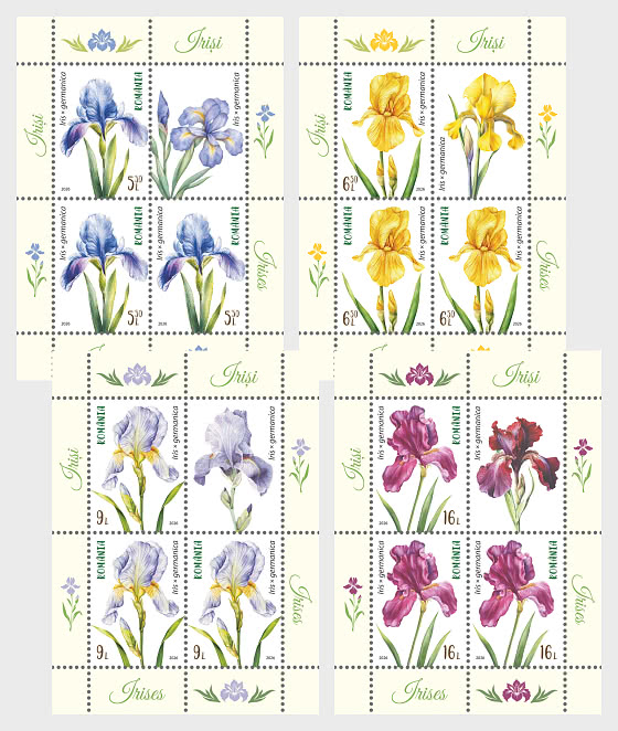2026 Iris - Minifogli