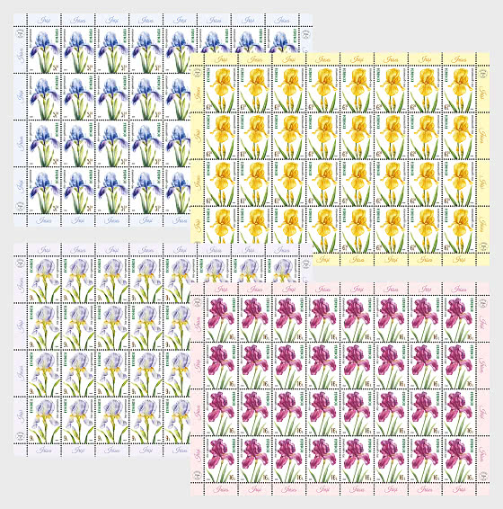 2026 Iris - Fogli interi