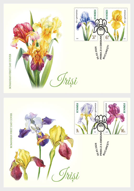 2026 Iris - FDC