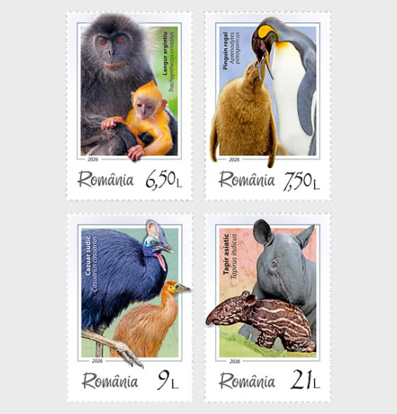 2026 Curiosidades de la Vida Silvestre - Series