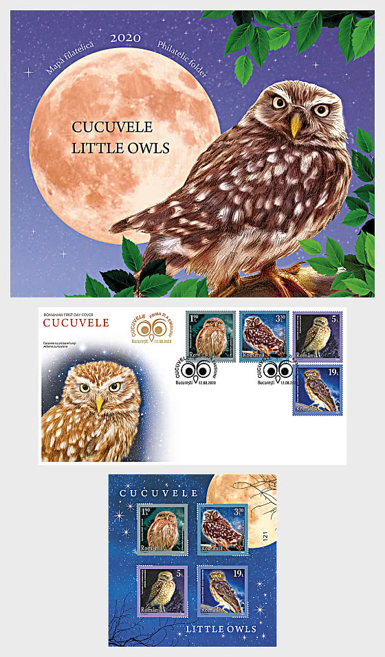 2020 Piccoli gufi - Cartella Speciale