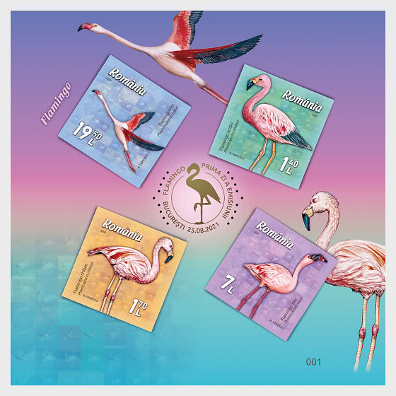 2021 Fenicottero - Cartella Speciale