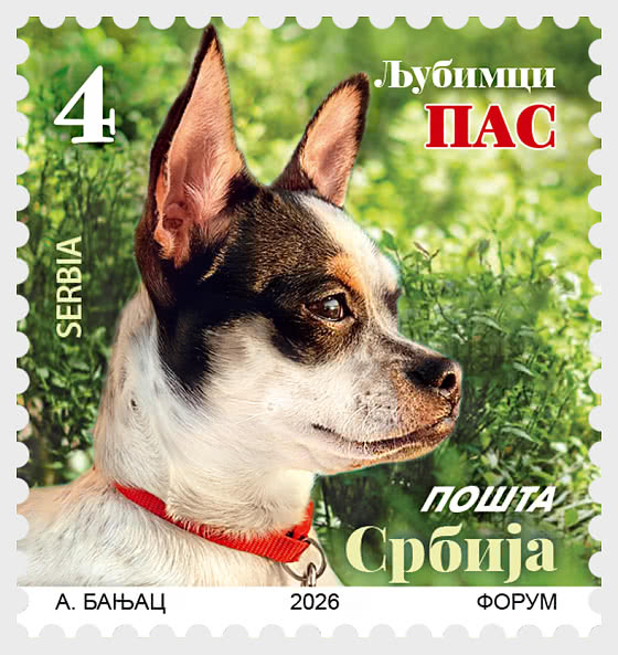 2026 Definitive Stamp - Pets Dog - Set