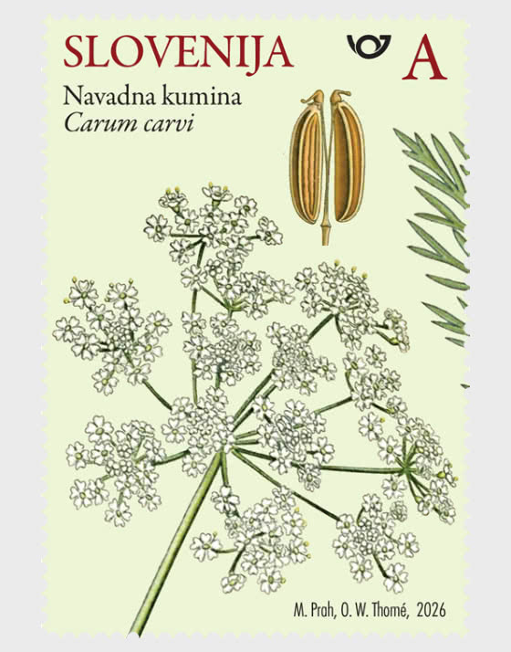 2026 Flora – Wildkräuter - Serie