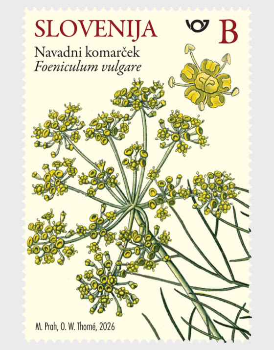 2026 Flora – Wildkräuter - Serie