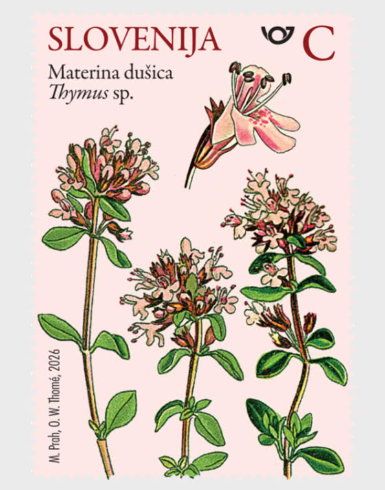 2026 Флора - Дикорастущие травы - Набор