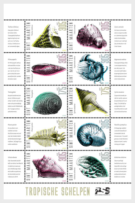 2026 Muscheln - Bogenserie