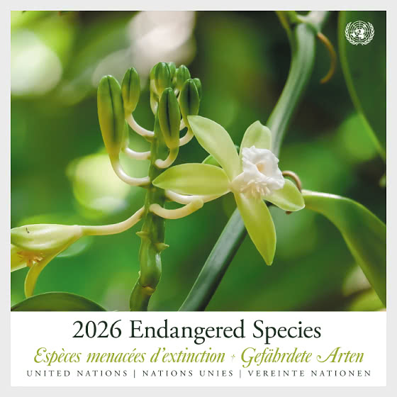 2026 Specie Minacciate d’estinzione - (3 Uffici) - Cartella Speciale